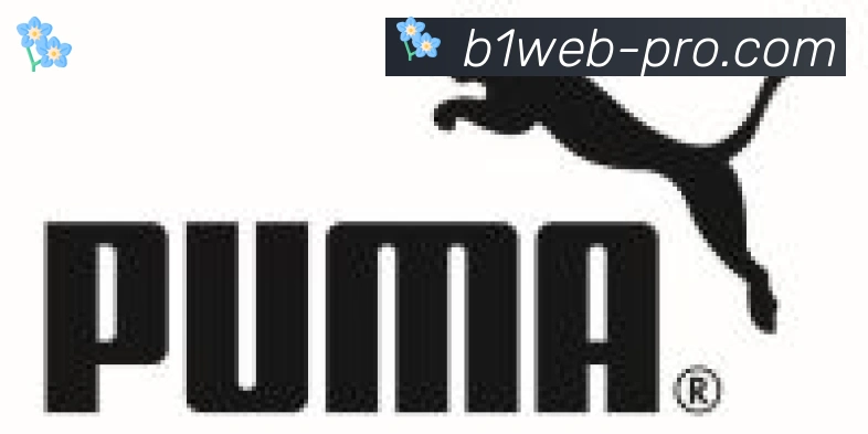 B体育合作伙伴